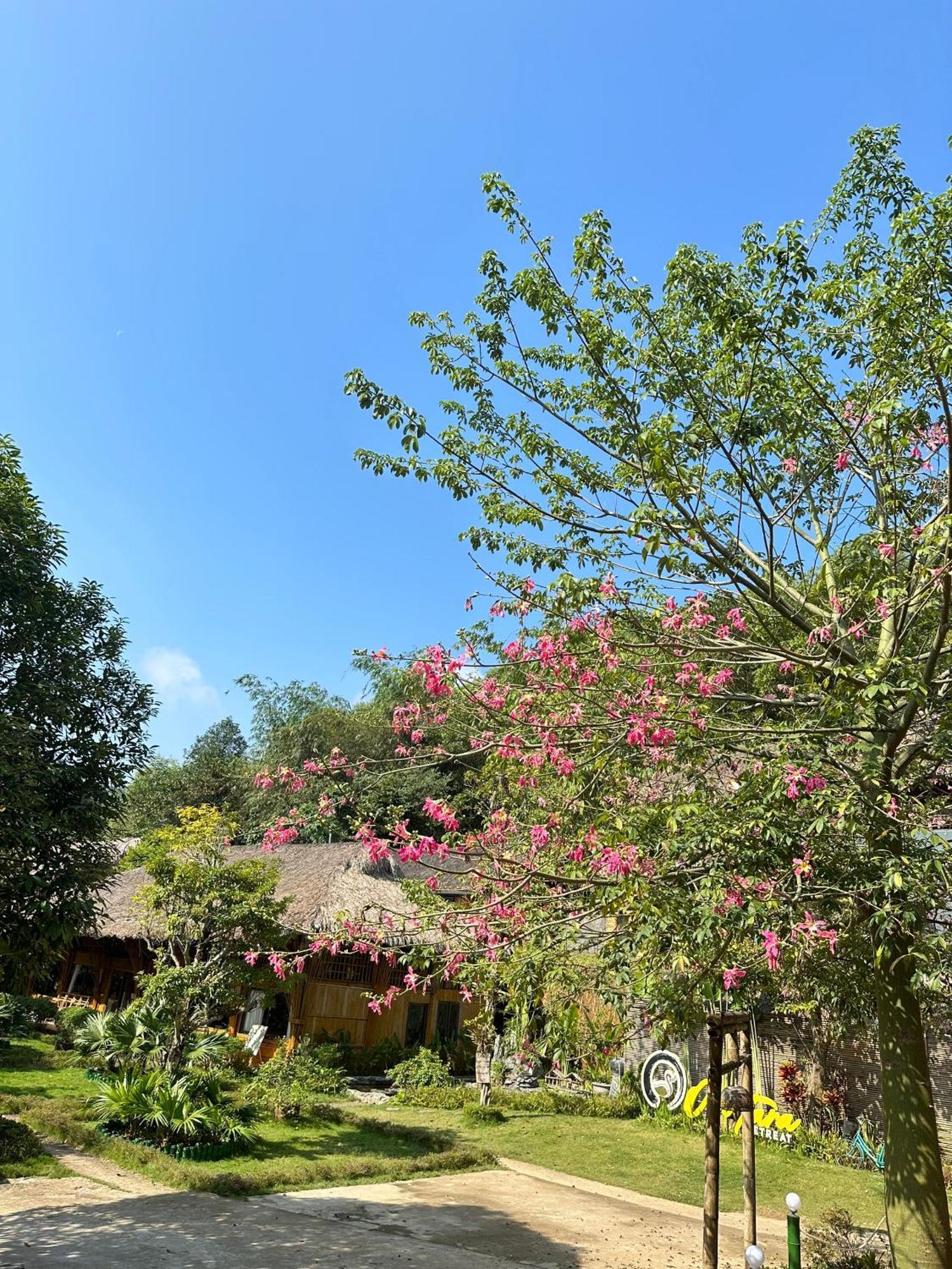 Om Tara Retreat Yen Bai Exterior foto